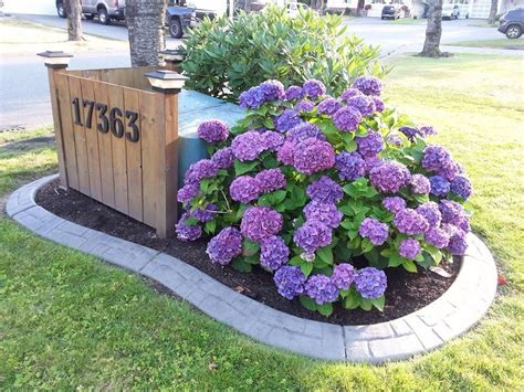 garden electrical box cover|landscaping around electrical boxes outside.